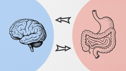 The Two-Way Street about Gut-Brain axis: How Stress and Your Stomach Talk