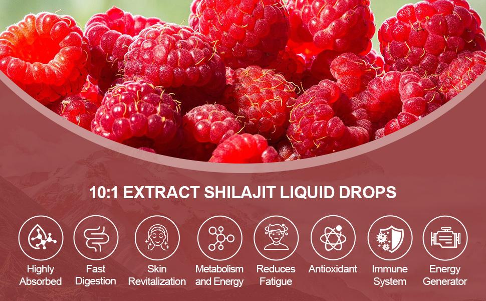 Pure Himalayan Shilajit Resin Liquid Drops for Energy & Immune Support-Golden Shilajit Supplement with Fulvic Acid & 85+ Trace Minerals Complex for Men & Women