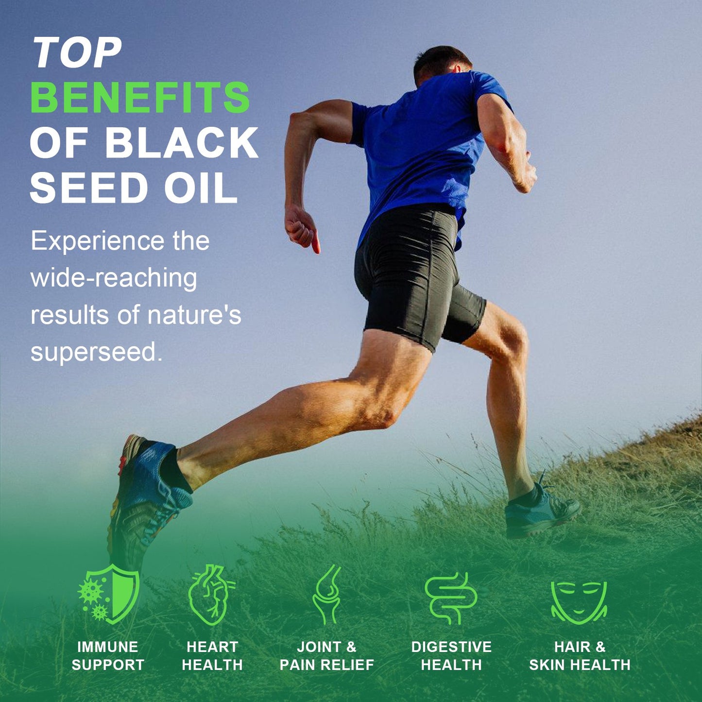 Alliwise Black Seed Oil Soft Capsules Cold Pressed Nigella Sativa Black Cumin Seed Oil, Supports Immune System&Cardiovascular Health, Digestive Health,Joint & Skin Health