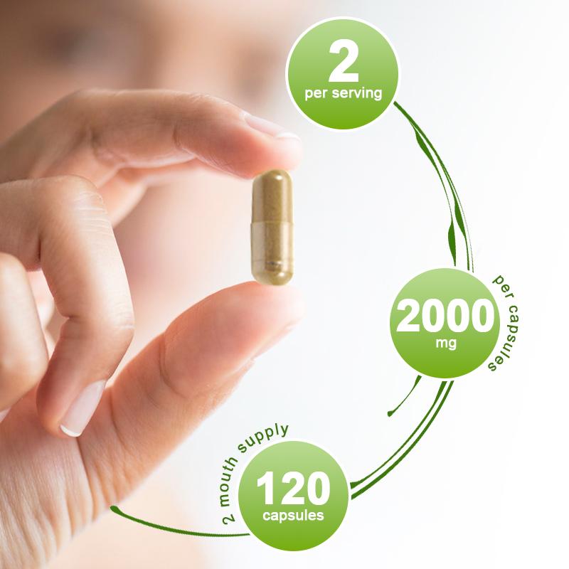 Fruit Probiotics Capsules Dietary Supplement For Digestive Health Support