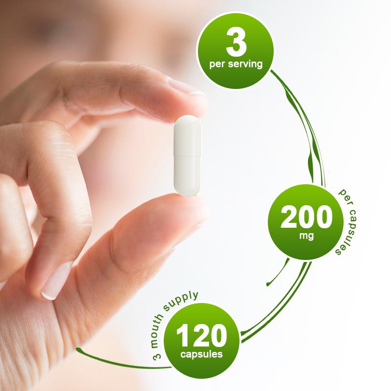 Alliwise Ginkgo Biloba Vegetarian Capsules Extra Supports Brain Function Memory Support