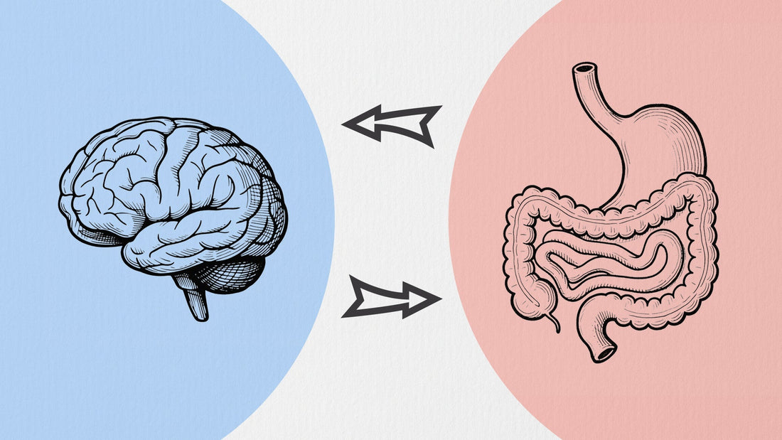 The Two-Way Street about Gut-Brain axis: How Stress and Your Stomach Talk