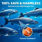 Omega 3 Fish Oil | EPA & DHA | Omega 3 Fatty Acids | Premium Burpless Softgel Supplements (120 Count)