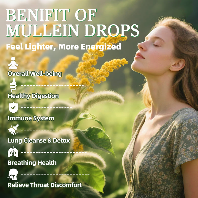 Alliwise® Mullein Leaf Liquid Drops 500mg | 60mL