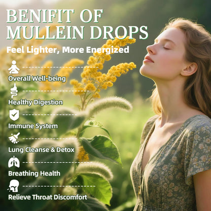 Alliwise® Mullein Leaf Liquid Drops 500mg - 2-in-1 Lung Cleanse & Detox Formula with Elderberry - Respiratory & Breathing Support, Immune & Digestion Defense (2 fl. oz. / 60 mL)