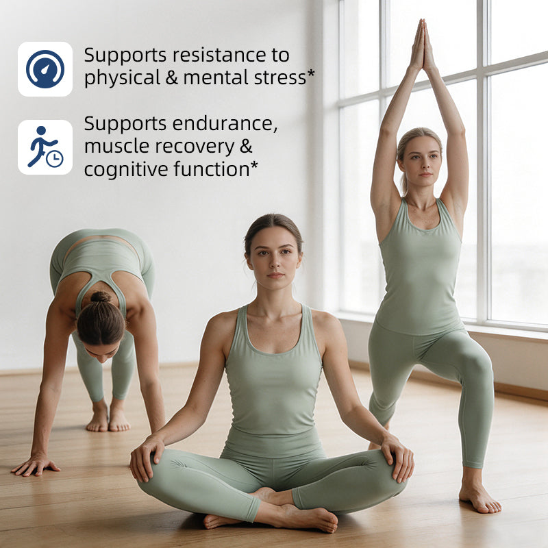 Alliwise® Ashwagandha Immune Health 655mg Stress & Mood Support