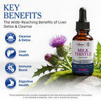 (2 Pack) Milk Thistle Liver Health Support Liquid Drops – High Potency Complex with Dandelion Root & Artichoke, 2 fl oz
