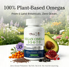 Full-Spectrum Vegan Omega 3·5·6·7·9 Complex — 1600mg Plant-Based Botanical Blend (120 Softgels)