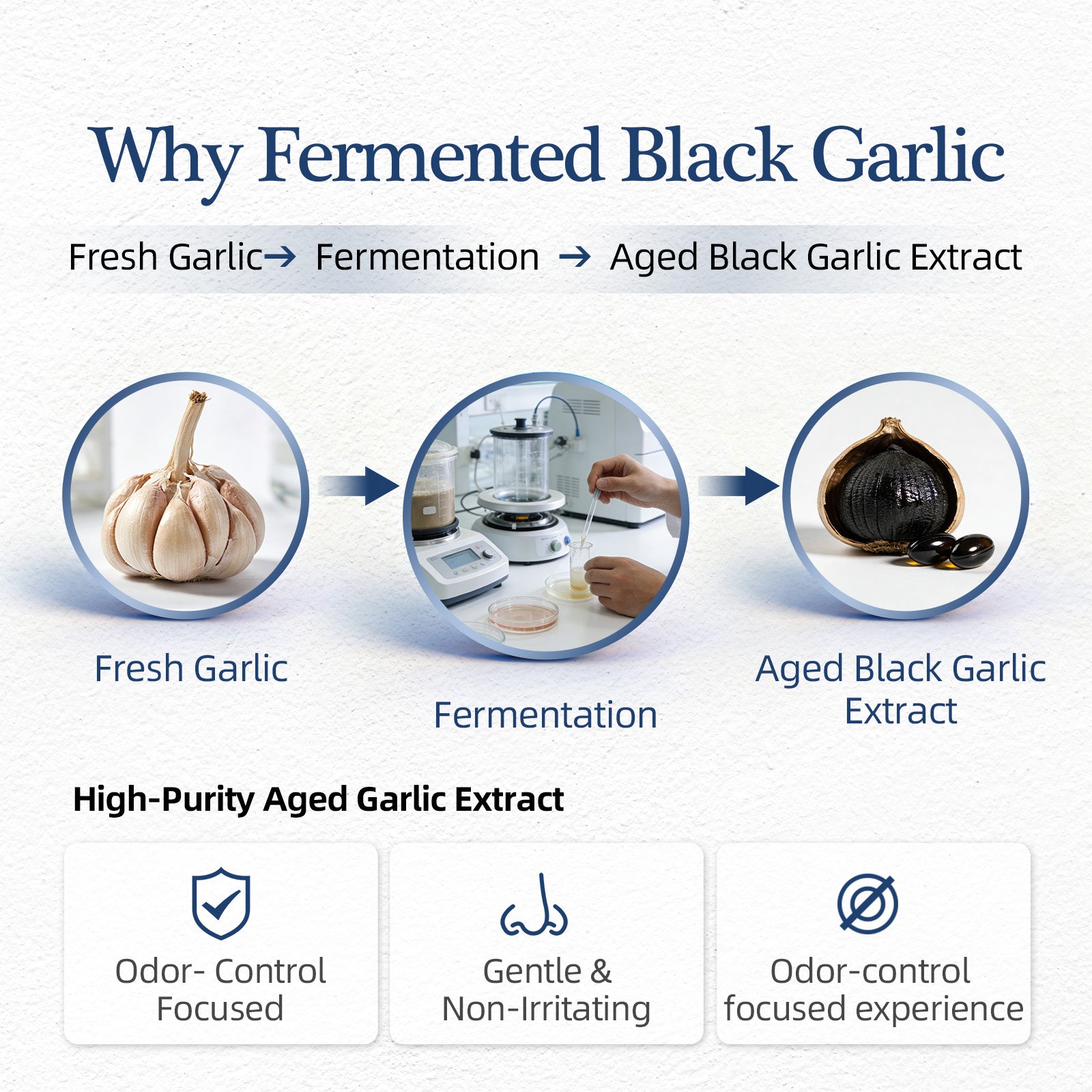 Aged Garlic Extract (600mg) | Cardiovascular Support