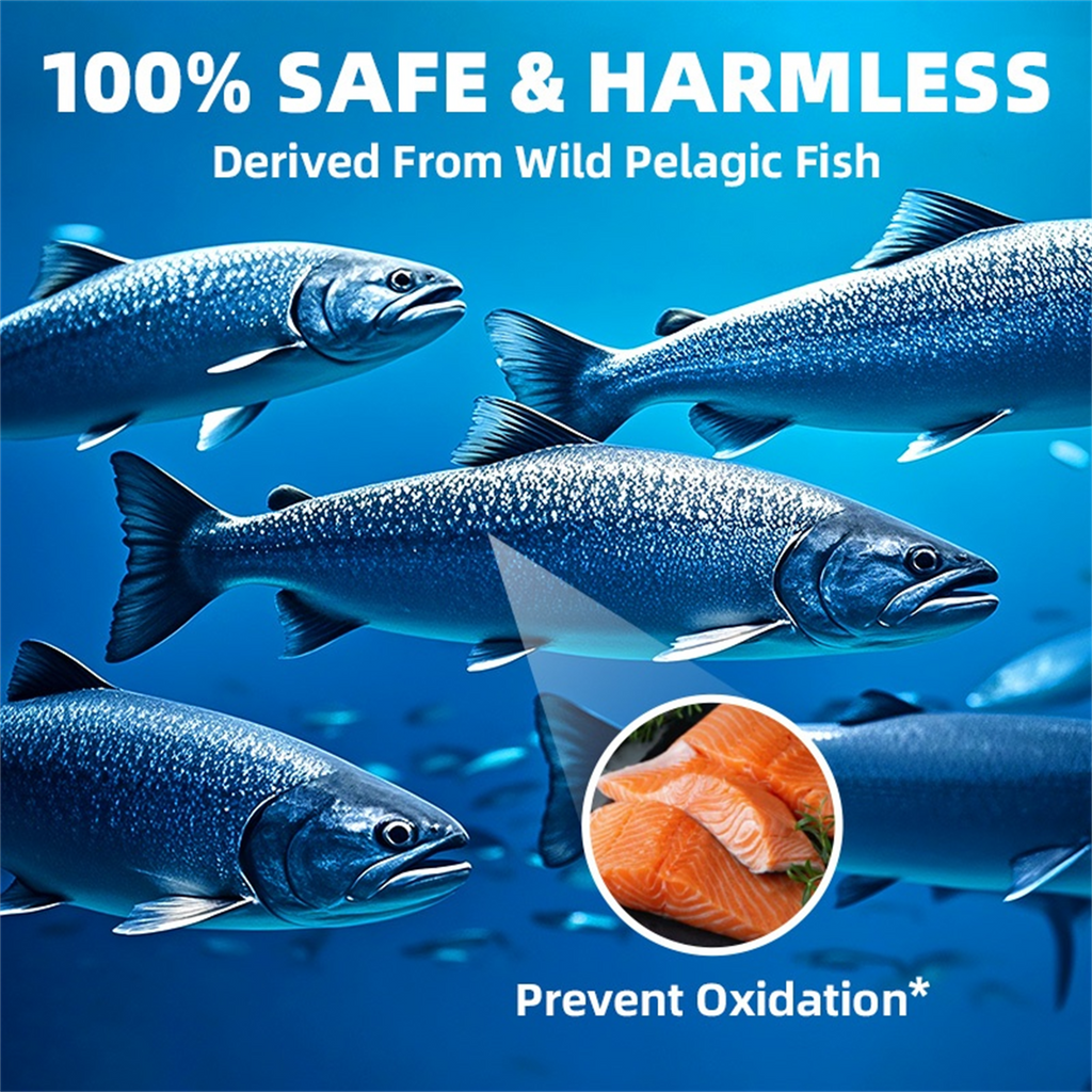 Omega 3 Fish Oil | EPA & DHA | Omega 3 Fatty Acids | Premium Burpless Softgel Supplements (120 Count)