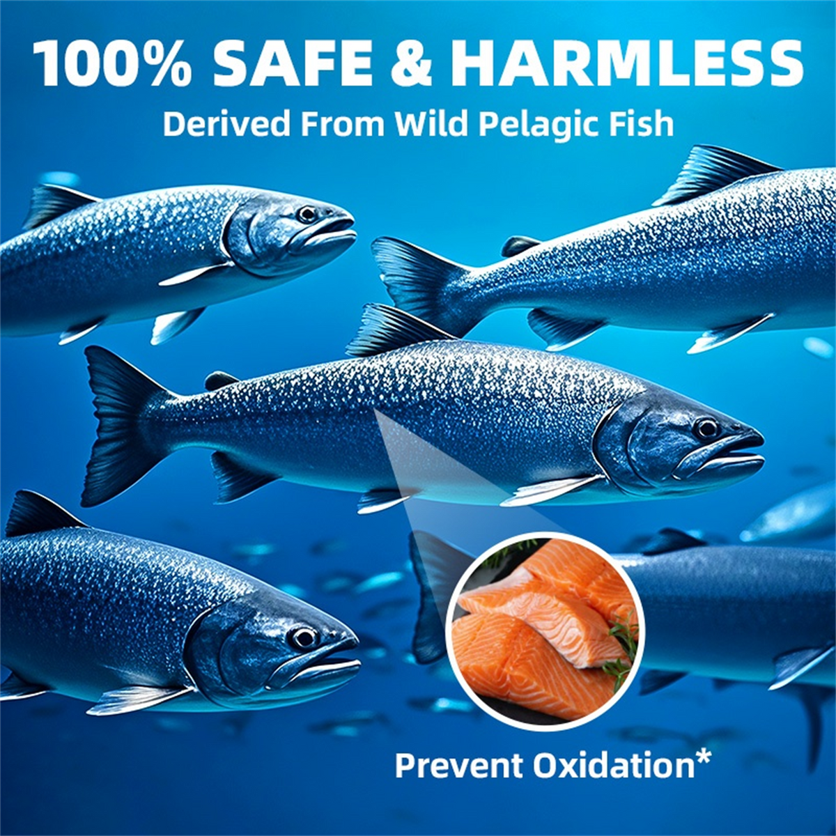 Omega 3 Fish Oil | EPA & DHA | Omega 3 Fatty Acids | Premium Burpless Softgel Supplements (120 Count)