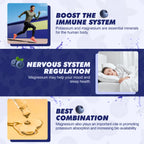 Potassium Magnesium Supplement Liquid - High Absorption Magnesium Complex & Potassium Plus Calcium, Vitamin D3, Zinc for Bone, Energy, Immune Support - Sugar Free & Vegan, 2 fl oz