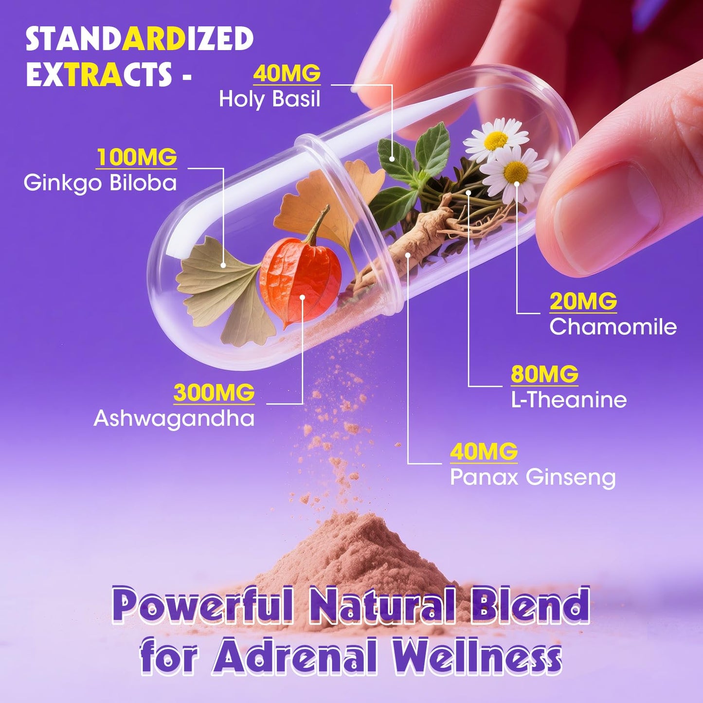 Cortisol Supplements for Women - Adrenal Support with Ashwagandha, L-Theanine & Holy Basil for Stress Relief, Mood & Steady Focus - Hormone Balance - 120 Vegan Capsules