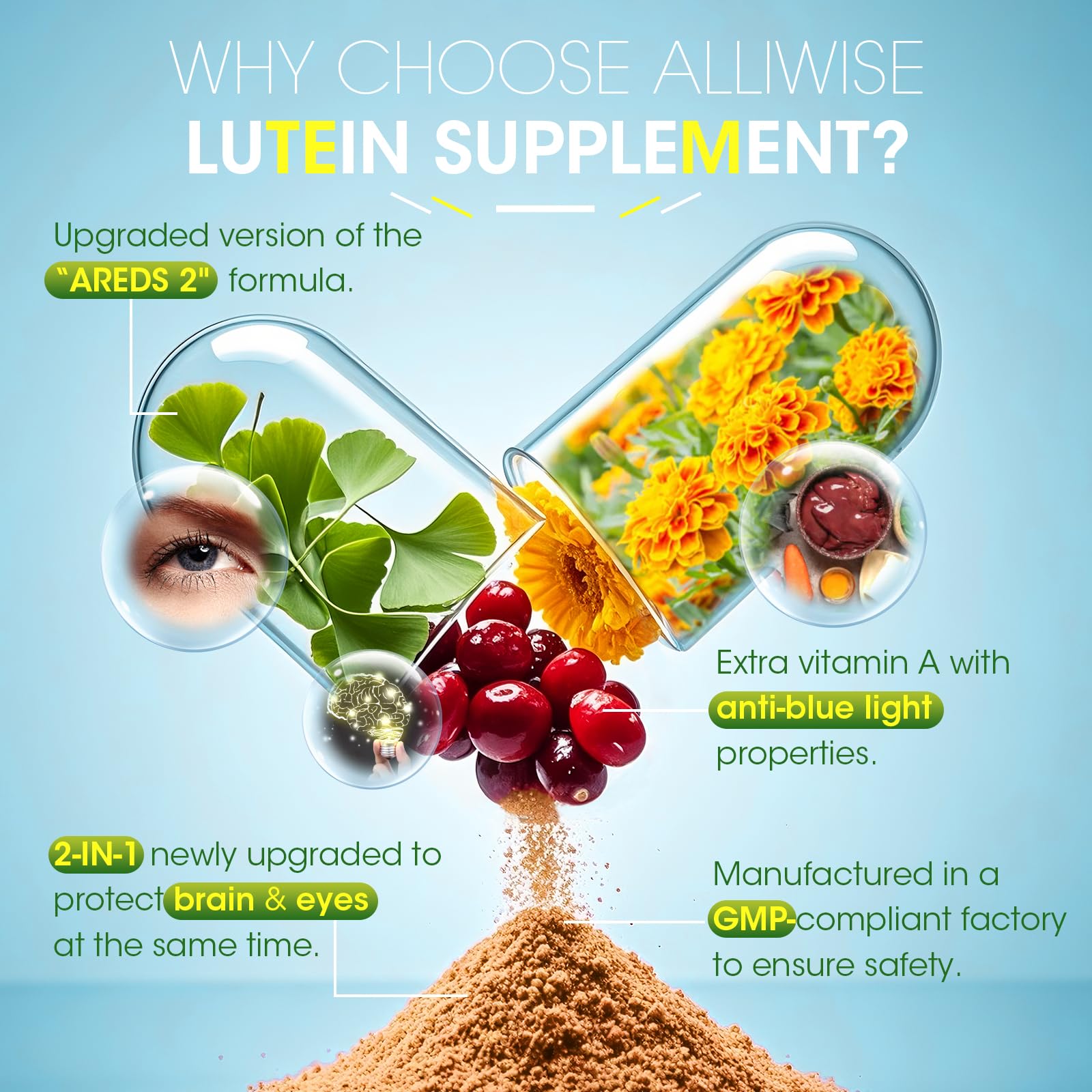 Unlock Total-Body Vitality: Vision, Mind & Circulation