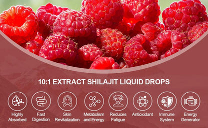 Pure Himalayan Shilajit Resin Liquid Drops for Energy & Immune Support-Golden Shilajit Supplement with Fulvic Acid & 85+ Trace Minerals Complex for Men & Women