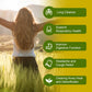 Lung Support Supplement - Mullein Capsules For Lung Cleanse And Detox  - Respiratory System & Mucus Clear - Herbal Support For Healthy Respiratory And Bronchial Function
