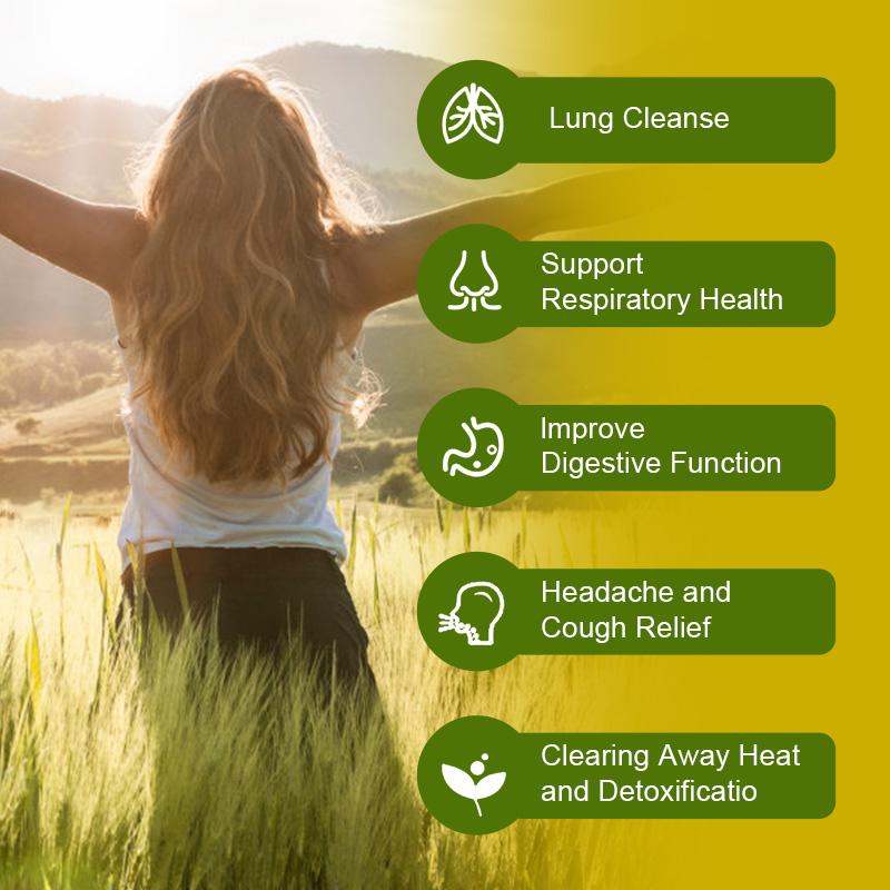 Lung Support Supplement - Mullein Capsules For Lung Cleanse And Detox  - Respiratory System & Mucus Clear - Herbal Support For Healthy Respiratory And Bronchial Function