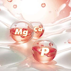 2 Pack Potassium Magnesium Supplement Liquid Drops Strawberry Flavor
