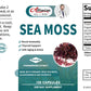 Alliwise Sea Moss Food Supplement Irish Sea Moss, Bladderwrack, Burdock Root For Energy Gut Health Skin & Joint Support ,Promote Overall Health & Immunity