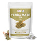 Yerba Mate Tea Bags