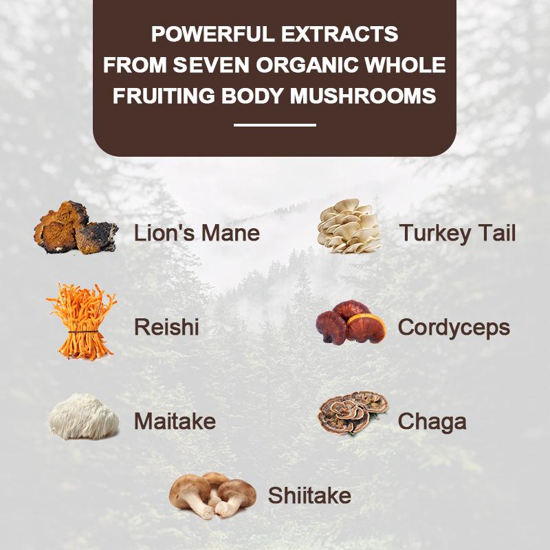 Alliwise Mushroom Complex Supplements For Brain Health Memory & Focus Support Energy Production & Immune System Health