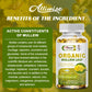 Lung Support Supplement - Mullein Capsules For Lung Cleanse And Detox  - Respiratory System & Mucus Clear - Herbal Support For Healthy Respiratory And Bronchial Function