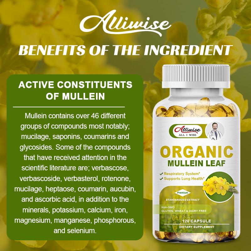 Lung Support Supplement - Mullein Capsules For Lung Cleanse And Detox  - Respiratory System & Mucus Clear - Herbal Support For Healthy Respiratory And Bronchial Function