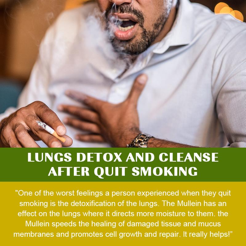 Lung Support Supplement - Mullein Capsules For Lung Cleanse And Detox  - Respiratory System & Mucus Clear - Herbal Support For Healthy Respiratory And Bronchial Function