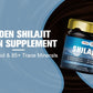 Alliwise 60g Original Shilajit Pure Himalayan Shilajit Resin with Fulvic Acid & 85+ Trace Minerals Complex for Energy & Immune Support