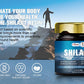 Alliwise 60g Original Shilajit Pure Himalayan Shilajit Resin with Fulvic Acid & 85+ Trace Minerals Complex for Energy & Immune Support