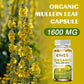 Lung Support Supplement - Mullein Capsules For Lung Cleanse And Detox  - Respiratory System & Mucus Clear - Herbal Support For Healthy Respiratory And Bronchial Function