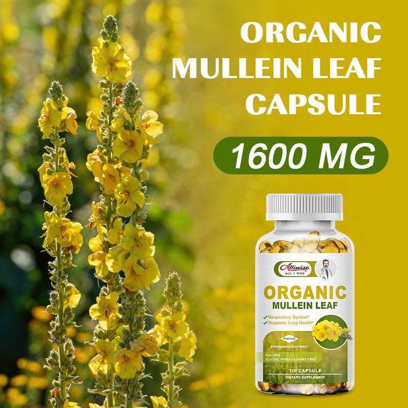 Lung Support Supplement - Mullein Capsules For Lung Cleanse And Detox  - Respiratory System & Mucus Clear - Herbal Support For Healthy Respiratory And Bronchial Function