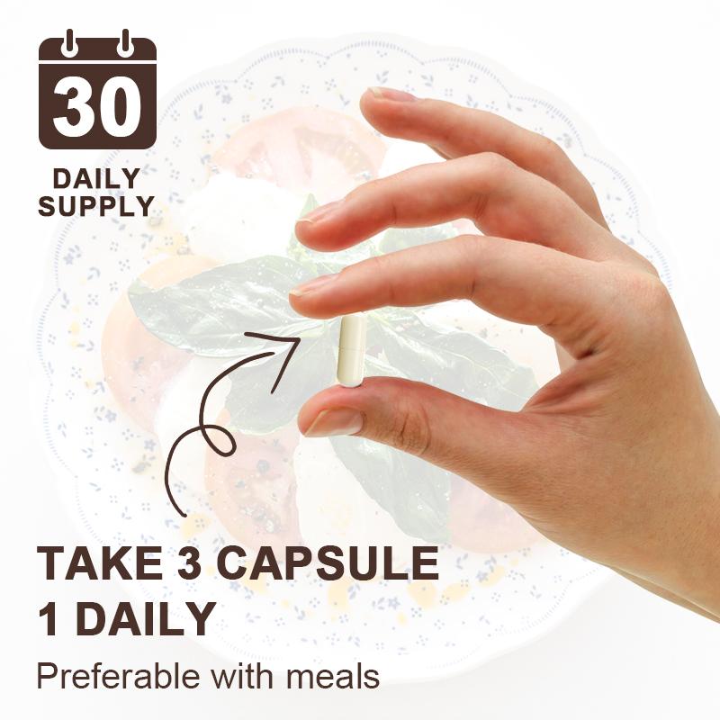 Alliwise Mushroom Complex Supplements For Brain Health Memory & Focus Support Energy Production & Immune System Health